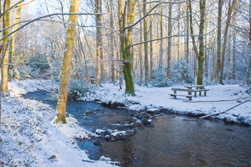20. Rossmore in winter - The picnic table..jpg